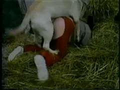 Grandma was drilled by her pet.
